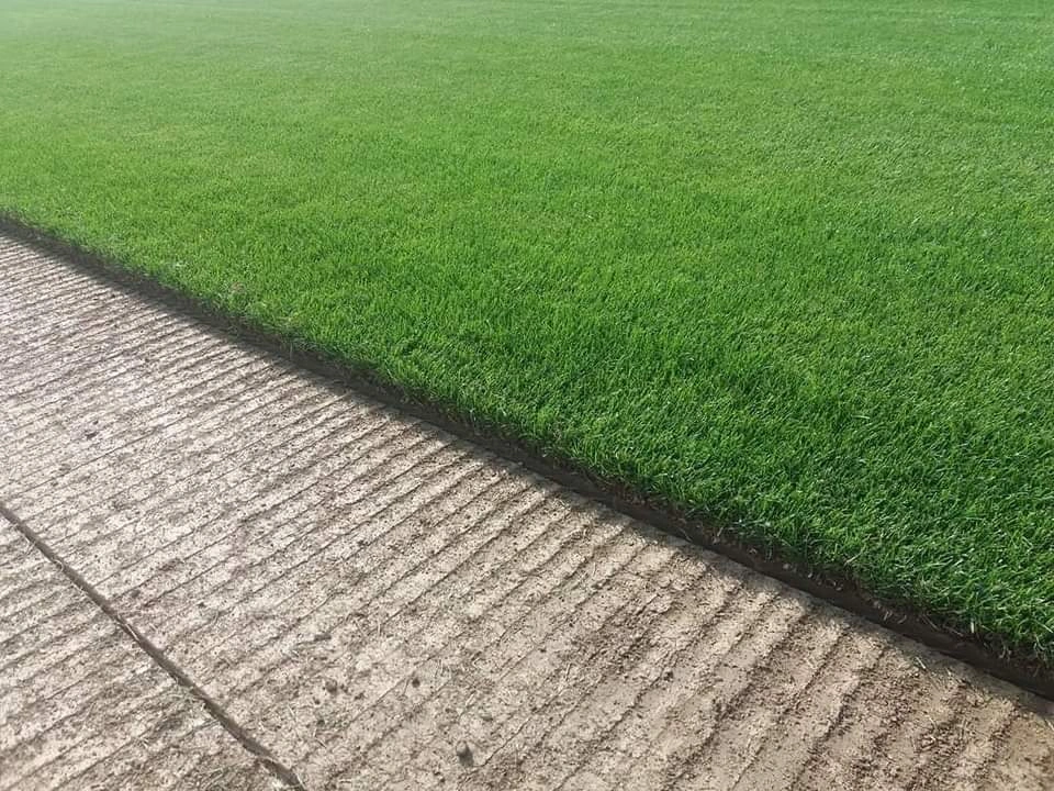 Tundere gazon profesionala cu utilaje specializate in Suceava si imprejurimi